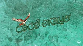Thandii x Regalado - Coco Okayo (Lyrics)