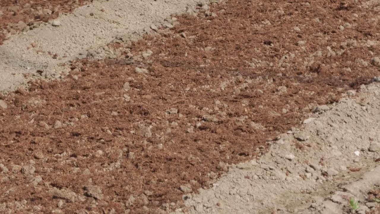 Calano il numero di aziende agricole e la quantità di superficie agricola utilizzata in Liguria