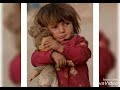 قصيده وقف إطلاق النار