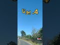 أكثر 10 ولايات أمانا في امريكا