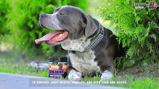 Kinpur Pet Care Inflammation Hip & Joint Support Chews