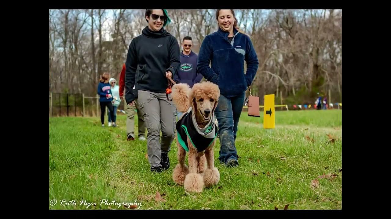 2nd Annual Wag Through the Pines Race YouTube