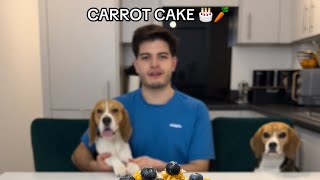 COOKING WITH BEAGLES | Carrot Cake