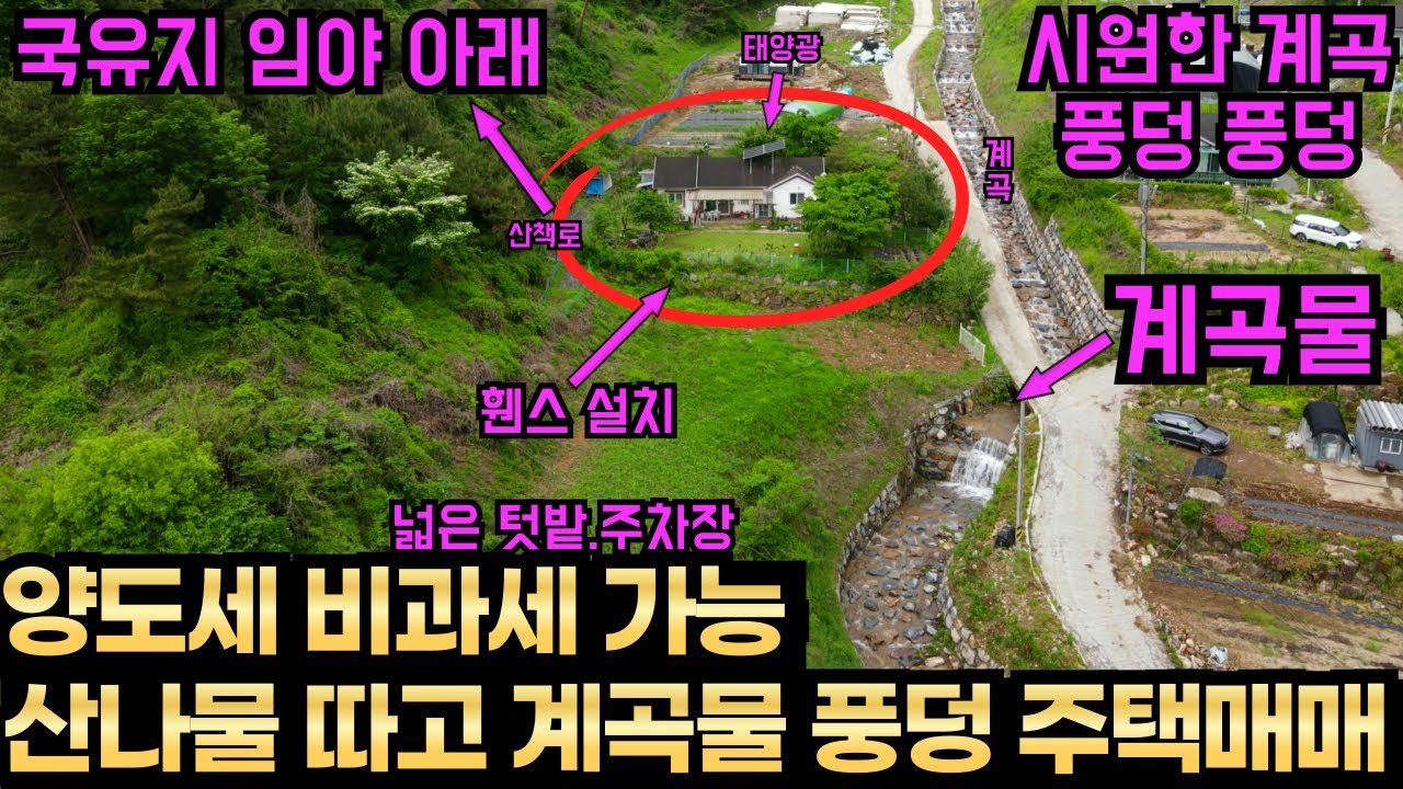 국유지 임야 바로 아래 시원한 계곡 물놀이 하는 주택매매 산에는 온통 산나물 버섯 천지에 손자 손녀 가족 모두가 즐길거리 많은 집 텃밭 국유지 산책로 각종 유실수 야생화 태양광설치