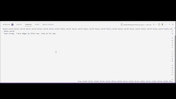 terminal guruguru demo
