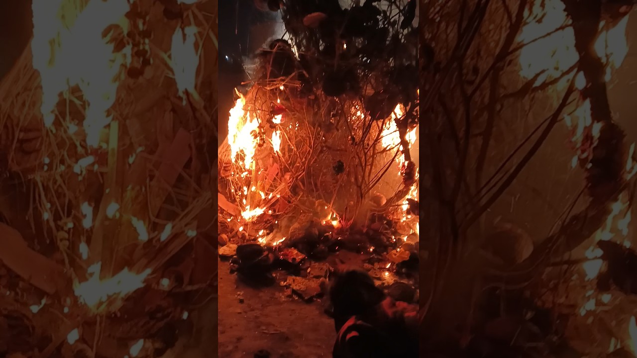 holika Maiya mein lagi Aag