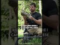 Should you get a long range mat?