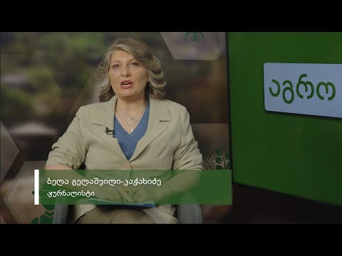 აგრო სიახლეები - 28 (სეზონი 13)