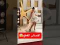 بفستان شتوي اطلاله هنادي مهنا علي ريد كاربت مهرجان الجونه بفستان شتوي اطلاله هنادي مهنا علي ريد كاربت مهرجان الجونه