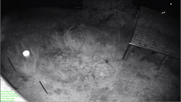 Mysterious objects caught on camera 2022.07.31