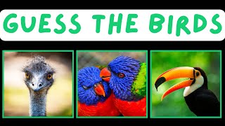 Can guess a Birds? #birds #quiz #entertainment