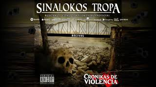 Novicios - Sinalokos Tropa