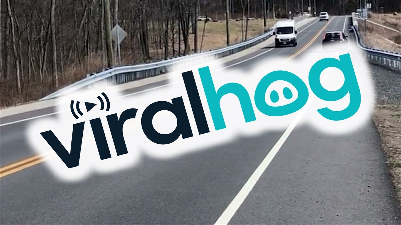Mama Bear Helps Baby Cross The Road || ViralHog - YouTube