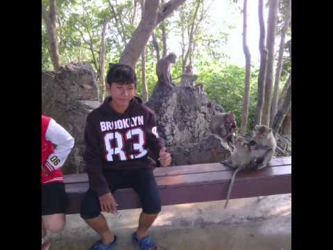ไผ่ ชุดที่ 9