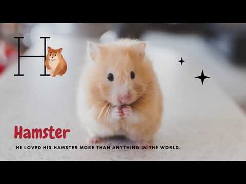 Pet Animals