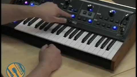 Gearwire Explores The Moog Little Phatty