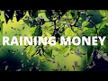 Raining Money Subliminal Sleep Track w/ Activating Tones | Subconscious Mind Programming for Wealth