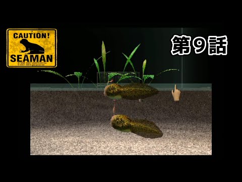 シーマン - YouTube