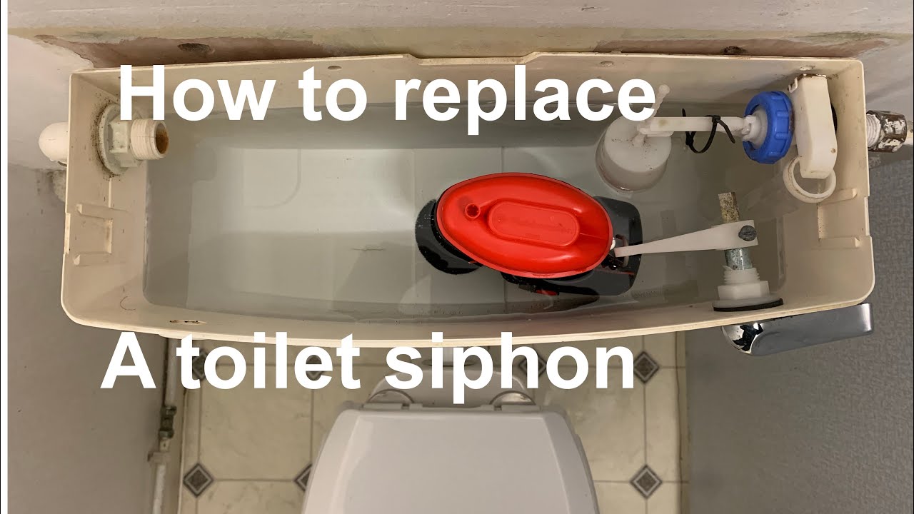 Onheil Stal Adolescent REPLACE A TOILET SIPHON, how to replace or repair a broken toilet siphon  diaphragm, plumbing/DIY - YouTube