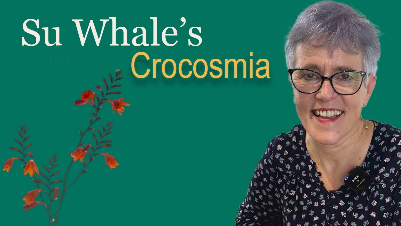 Safety Wiring Tutorial Crocosmia Seed Heads 🌿 | Autumn Floristry Tips, Conditioning & Wiring ...