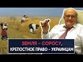 Земля – Соросу, крепостное право – украинцам : НеДобрый Вечер