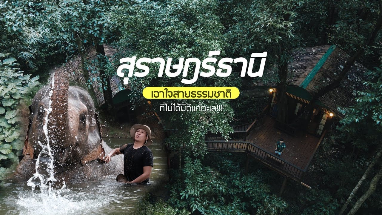 เที่ยวสุราษฎร์ธานีใน 1 วัน / 1 day trip in Surat Thani Province in Thailand #เที่ยวสุราษฎร์