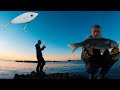 Fishing with the new samson shad  bass fishing with surface lures  samsonlures