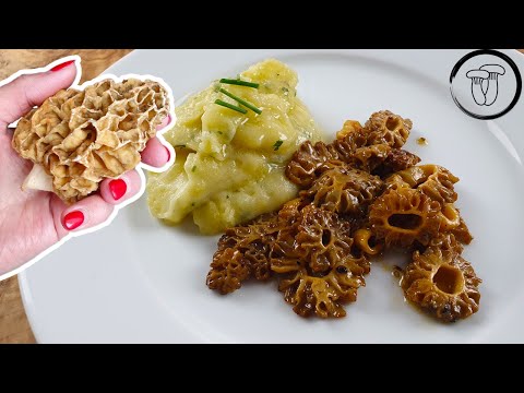 Smrže na másle s bylinkovo -bramborovou kaší. Smrž obecný recept.