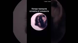 Когда пришла оплата от клиента #бизнес #клиенты