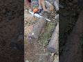 Stihl MS 182 for cutting large logs #Stihl #Asmr #Wood #chainsaw