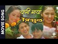 Baisa Fule Pachhi (Maya Yani Maya) - Nepali Movie TRISHUL Song | Nikhil Upreti, Yuna, Nabin, Nandita