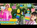 DRAMA | PANEN POHON POP IT | CHIKAKU CHANNEL