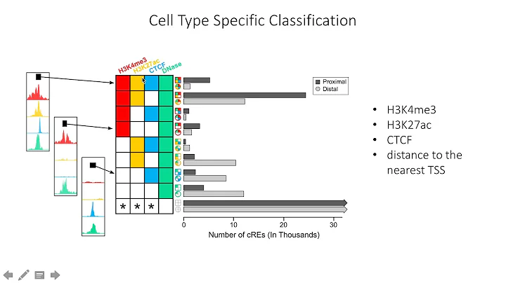 ENCODE Registry of Candidate Regulatory Elements (...