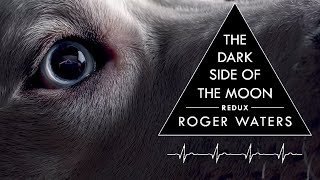 Roger Waters: DSOTM Redux | Is it any Good