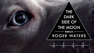 Roger Waters: DSOTM Redux | Is it any Good?