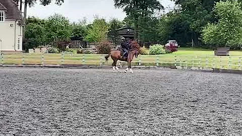 Dannie / Figaro video 1593102263