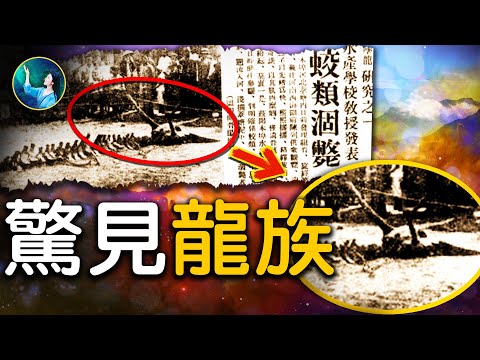 人類意外捕獲真龍，留存至今！龍的傳說，真人真事！太白金星 斬龍王之子？| #未解之謎 扶搖