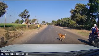 Car accident | Driving lesson | Suddenly dog came in front #Car #accident #caraccident #dashcam
