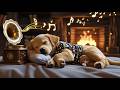24 Hours of Deep Sleep Music for Dogs🐶Separation Anxiety Relief at Home Alone💖Calm & Relax🎵No Ads #7
