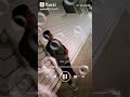 ماشي في زماني 