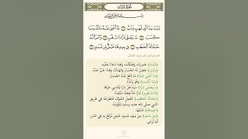 سورة المسد مكررة تلاوة الشيخ هزاع البلوشي
