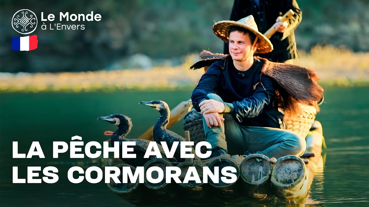 La pêche exotique : la technique secrète des cormorans. Le Monde à L'Envers