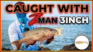 Snapper fishing in Goa back to back strikes on zman electric chicken 3 inch goa/india screenshot 1