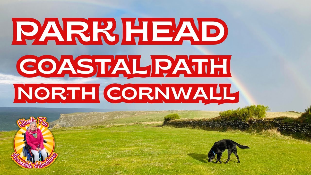 BEDRUTHAN STEPS,   PARK HEAD,  CORNWALL, UK.  ACCESSIBLE CORNWALL