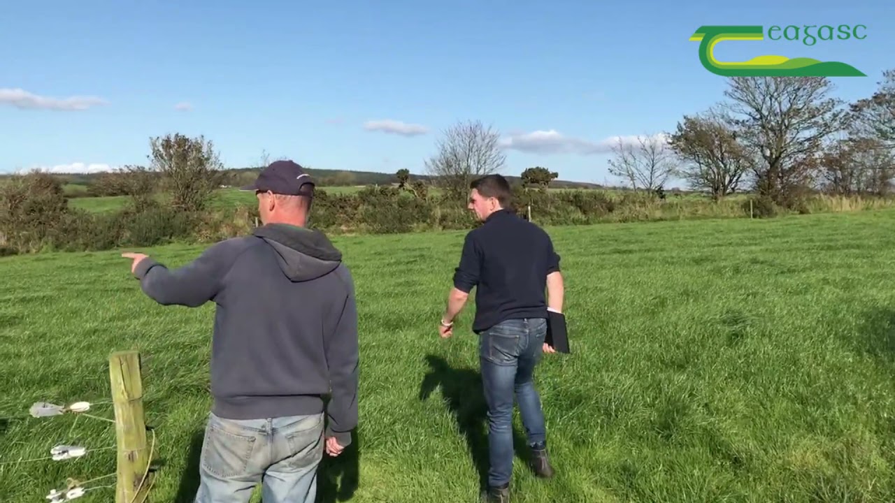 ASSAP Service Explained