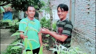 pertama kenal sama bang juna