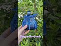 Dragon dice pouch🐉