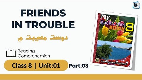 Class 8 English Unit 1 Lesson: Friends in Trouble (Part 3) | STBB | English in Sindhi