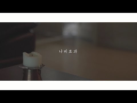 2019 불꽃제 뮤비