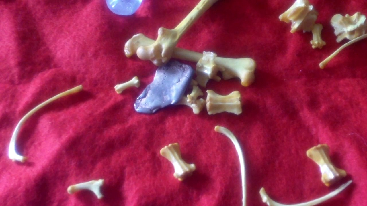 African Bone Reading for April 2017 - YouTube